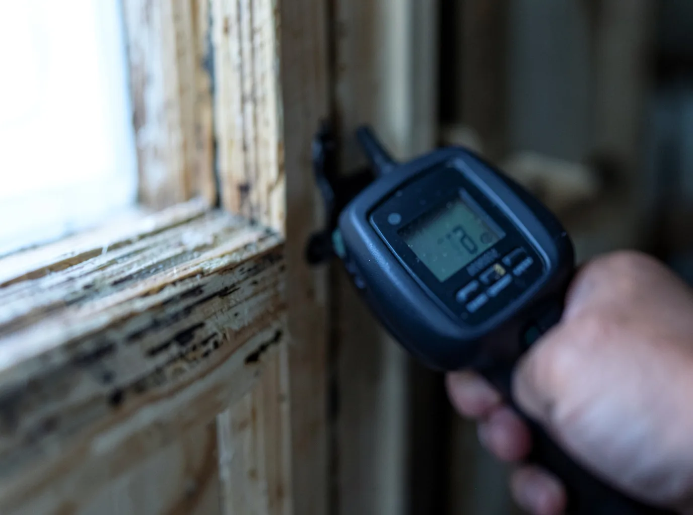 Moisture Inspection And Documentation in Timnath, CO
